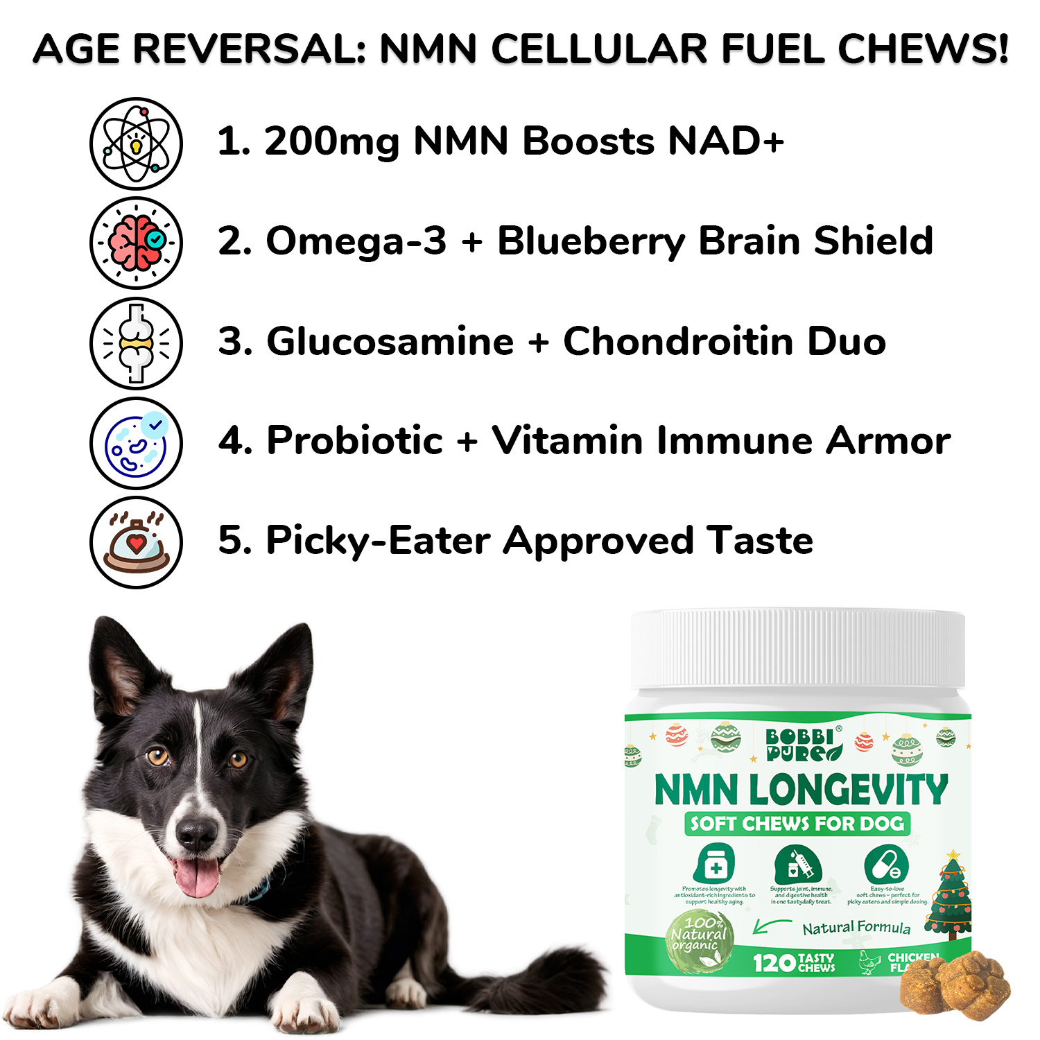 NMN - Boundless Pet Health supplement