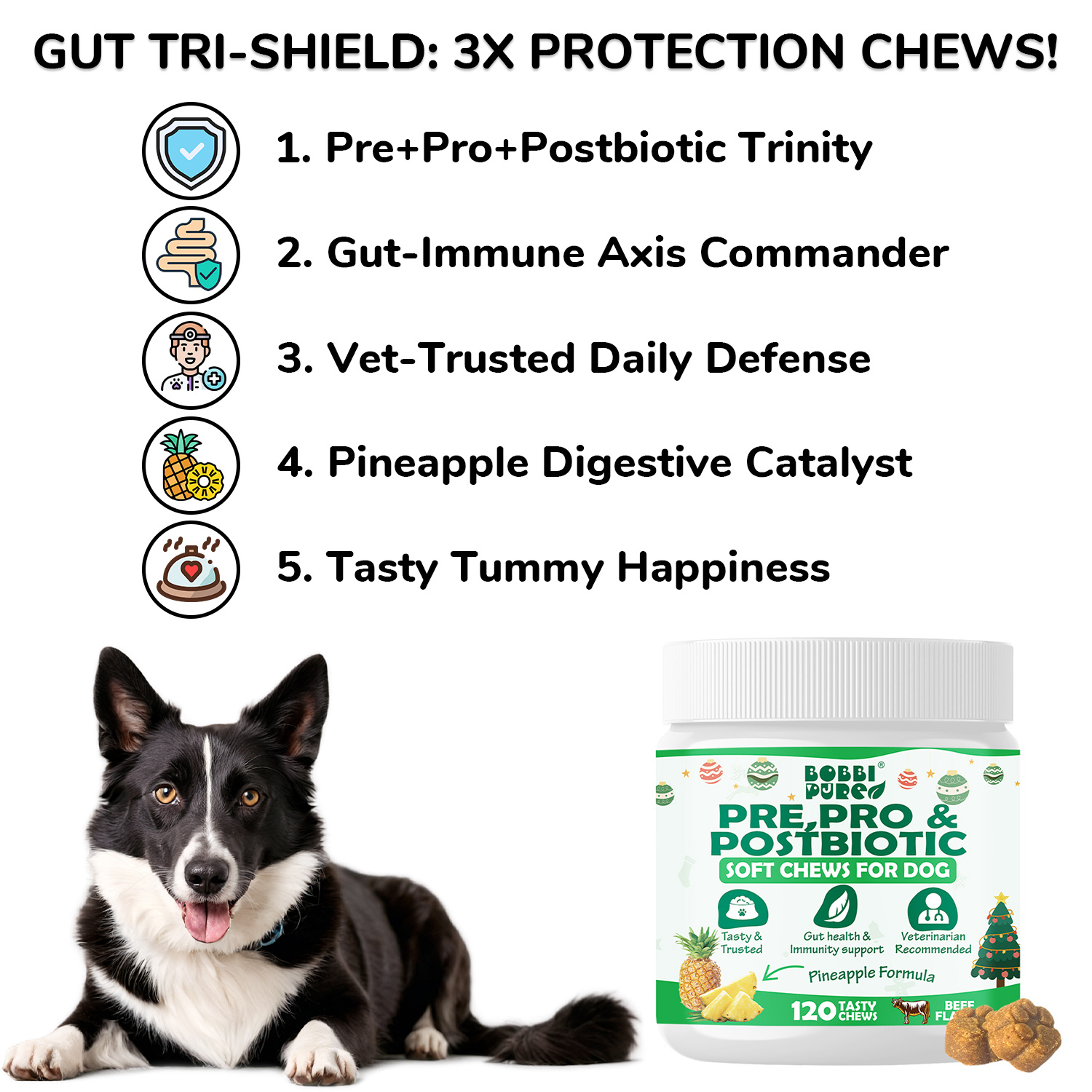 Probiotics - Boundless Pet Health supplement