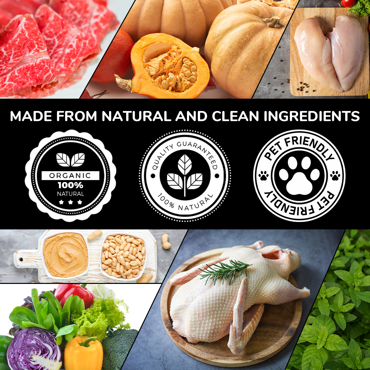 Private label soft chew supplements — Probiotics for OEM pet health brands (2)
