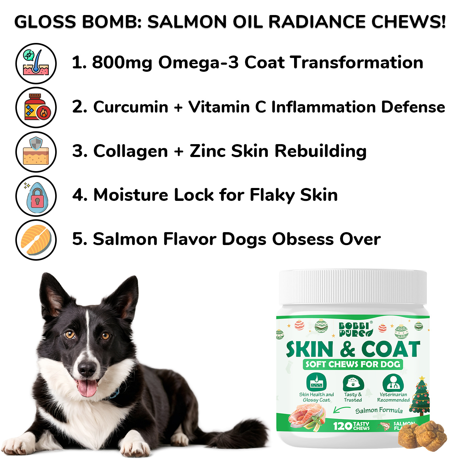 Skin & Coat - Boundless Pet Health supplement